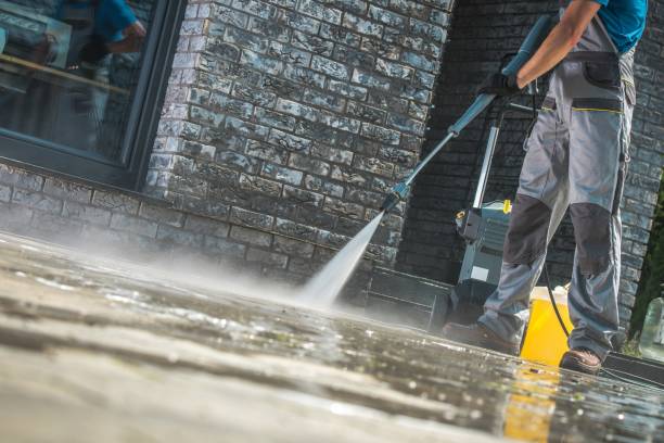 Best Roof Washing  in Camp Point, IL