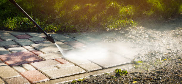 Animal Enclosure Cleaning in Camp Point, IL