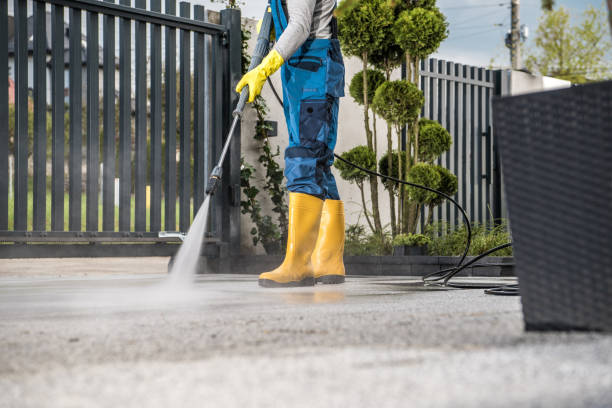 Best Animal Enclosure Cleaning  in Camp Point, IL